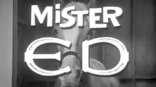 Mr. Ed