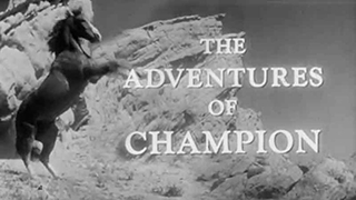 Adventures of Champion
