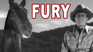 Fury